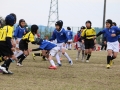 youngwave_kitakyusyu_rugby_school_yamaguchi_kouryu_2016035.JPG