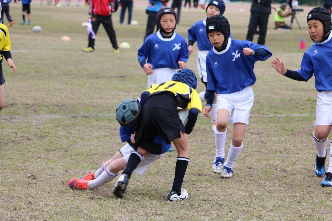 youngwave_kitakyusyu_rugby_school_yamaguchi_kouryu_2016039.JPG
